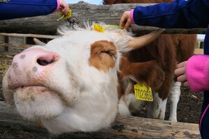 IMG_20190501_114035_1